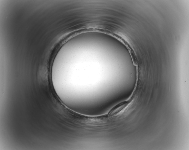 X0000088841115200706211828