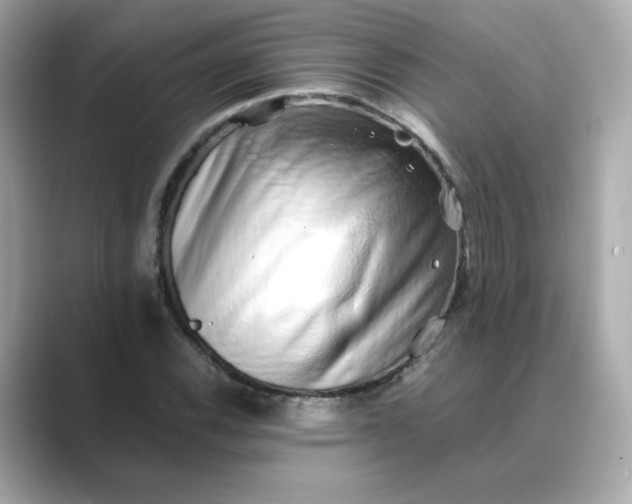 X0000088841116200706211828