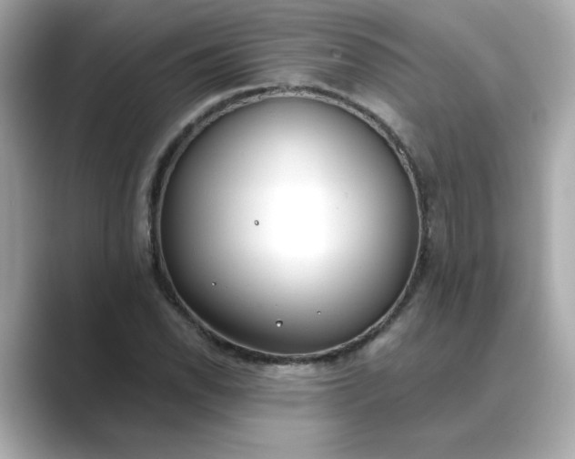 X0000088841118200706211828