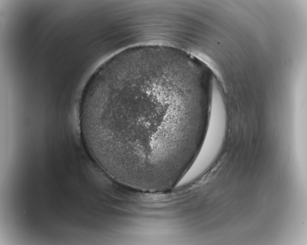 X0000088841120200706211828