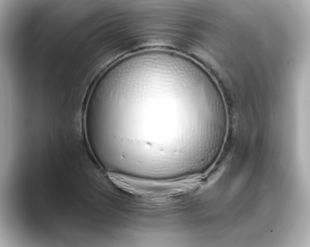 X0000088841121200706211828