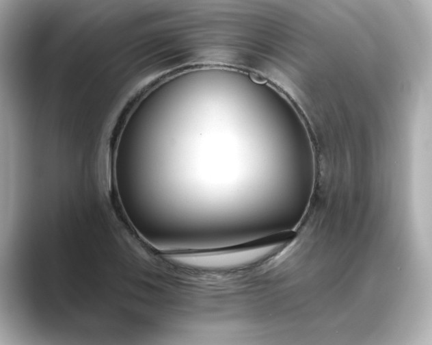 X0000088841123200706211828