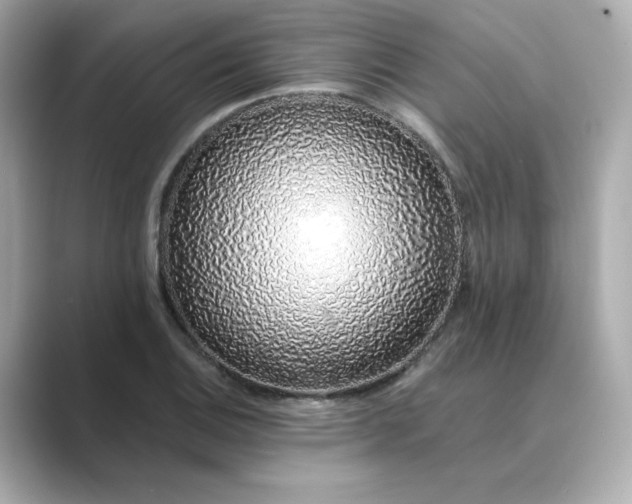 X0000088841124200706211828