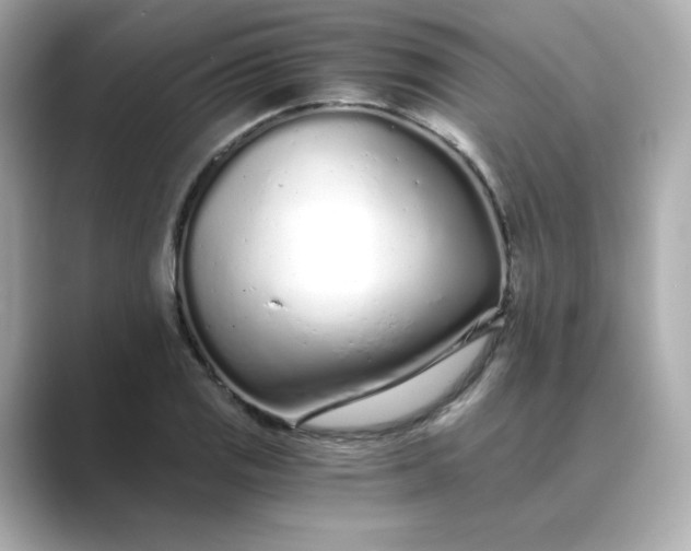 X0000088841125200706211828