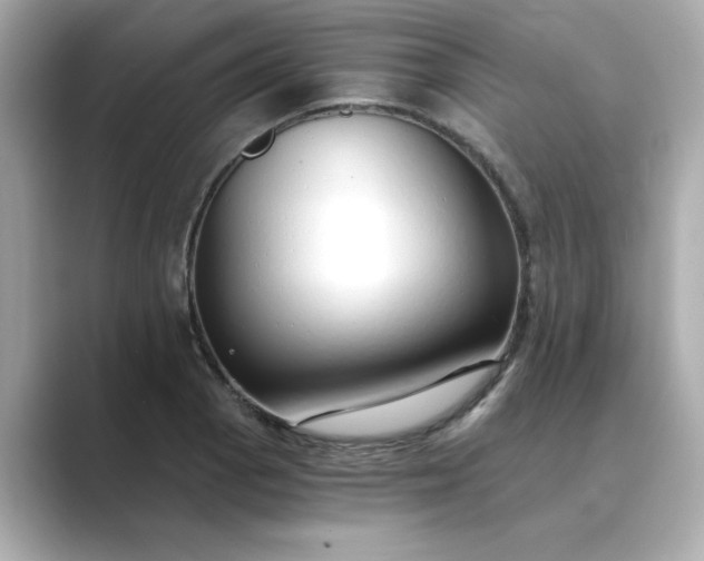 X0000088841129200706211828