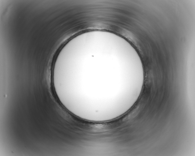 X0000088841130200706211828