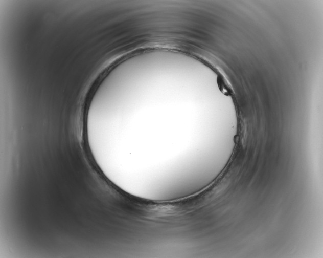 X0000088841131200706211828