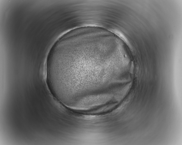 X0000088841132200706211828