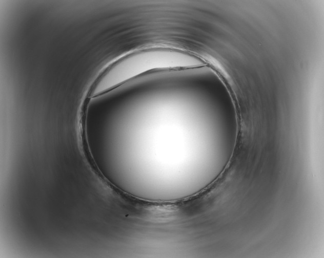 X0000088841133200706211828