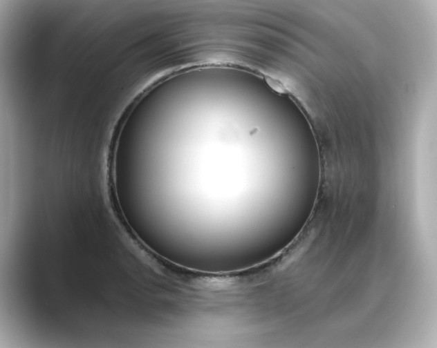 X0000088841134200706211828