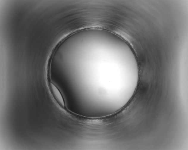 X0000088841135200706211828