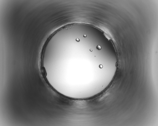 X0000088841136200706211828