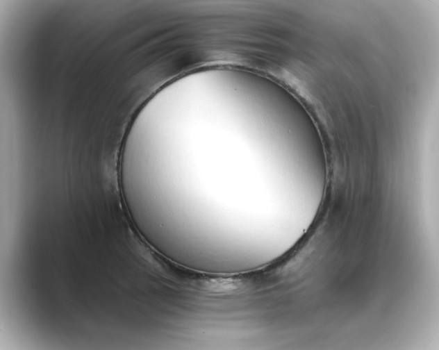 X0000088841137200706211828