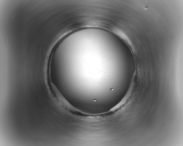 X0000088841138200706211828