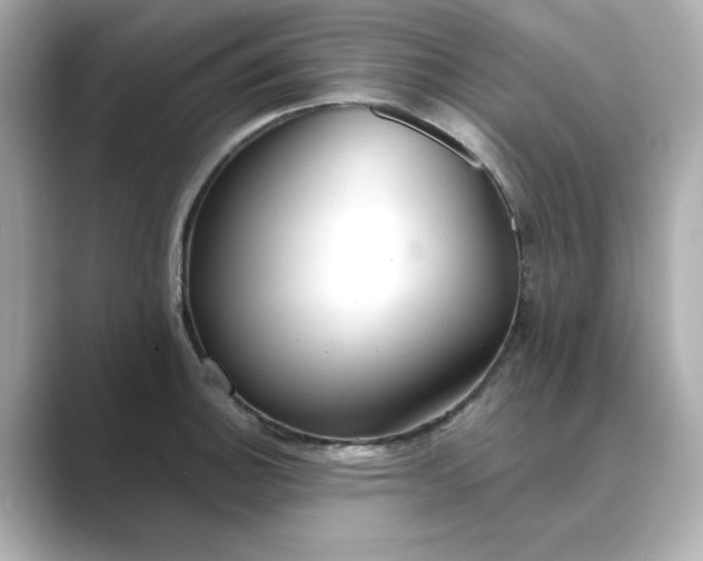 X0000088841140200706211828