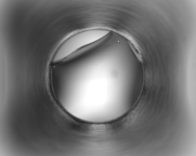 X0000088841142200706211828