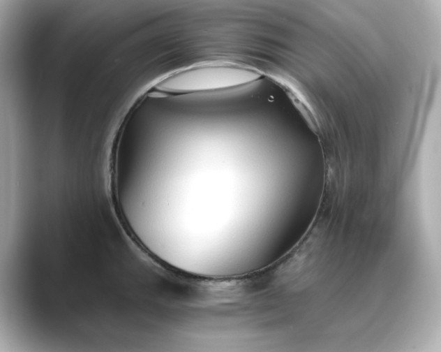 X0000088841143200706211828