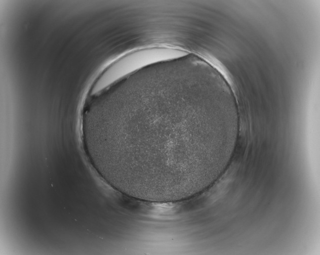 X0000088841144200706211828