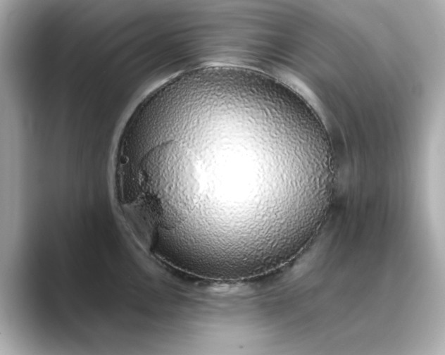 X0000088841146200706211828