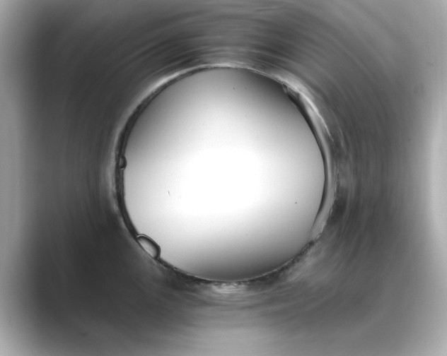 X0000088841147200706211828