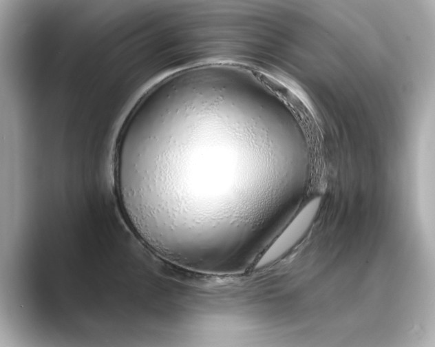 X0000088841148200706211828