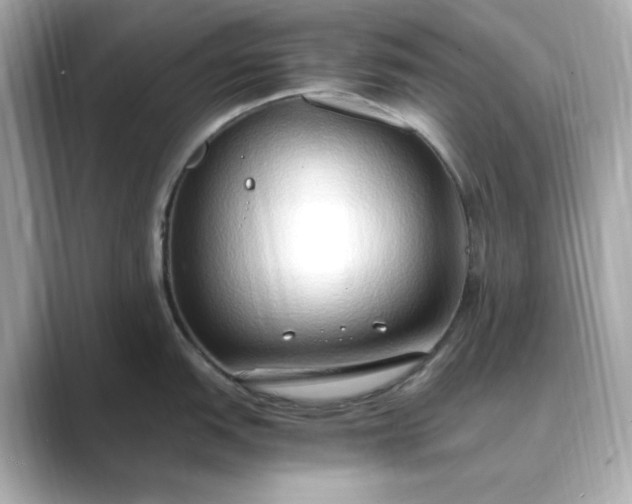 X0000088841151200706211828