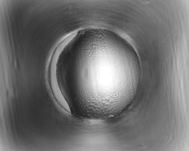 X0000088841152200706211828