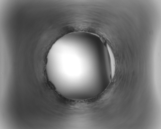 X0000088841153200706211828