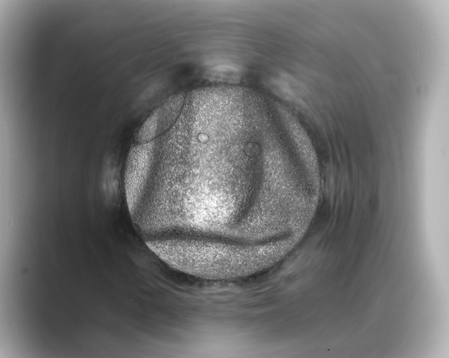 X0000088841154200706211828