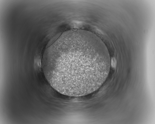 X0000088841155200706211828