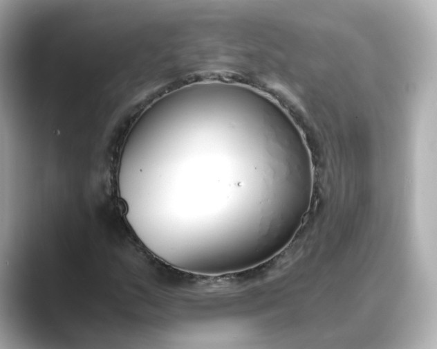 X0000088841159200706211828