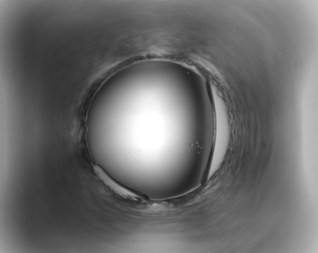 X0000088841160200706211828