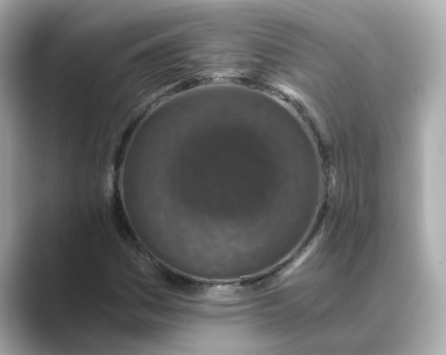 X0000088841161200706211828