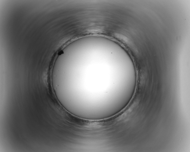 X0000088841162200706211828