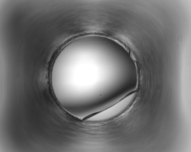 X0000088841164200706211828