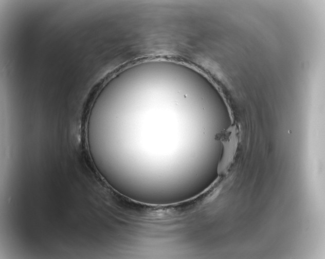 X0000088841165200706211828