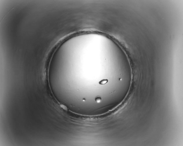 X0000088841167200706211828