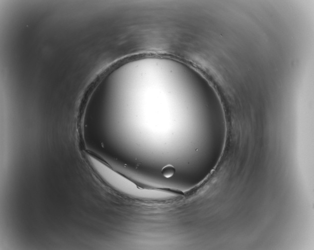 X0000088841168200706211828