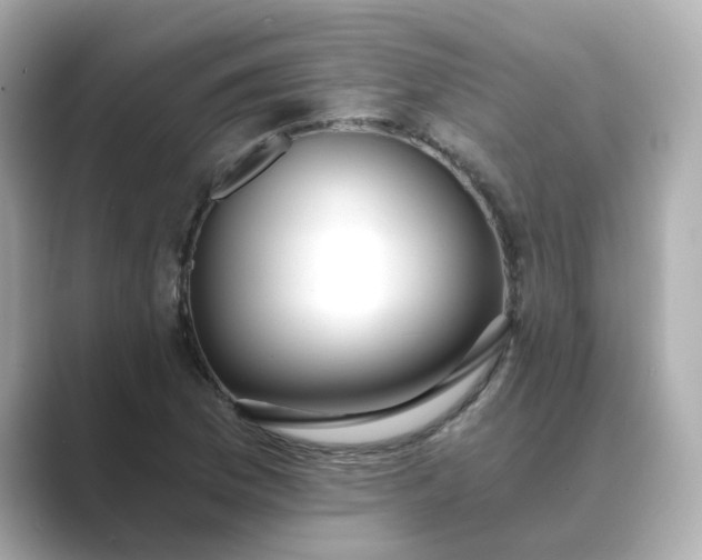 X0000088841169200706211828