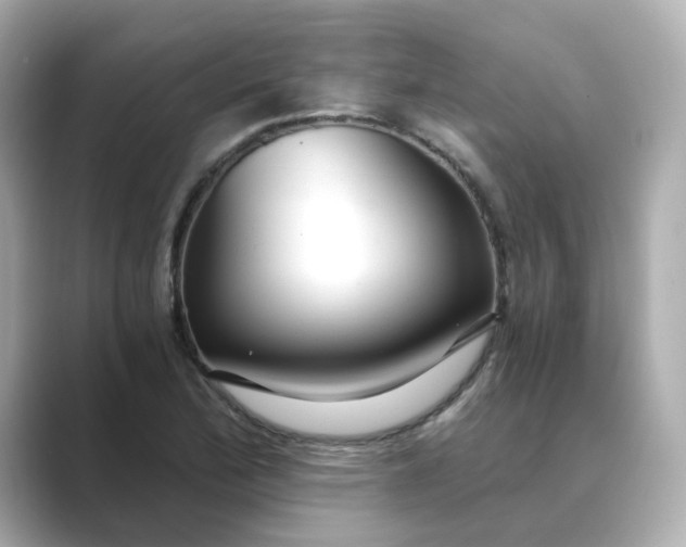 X0000088841172200706211828