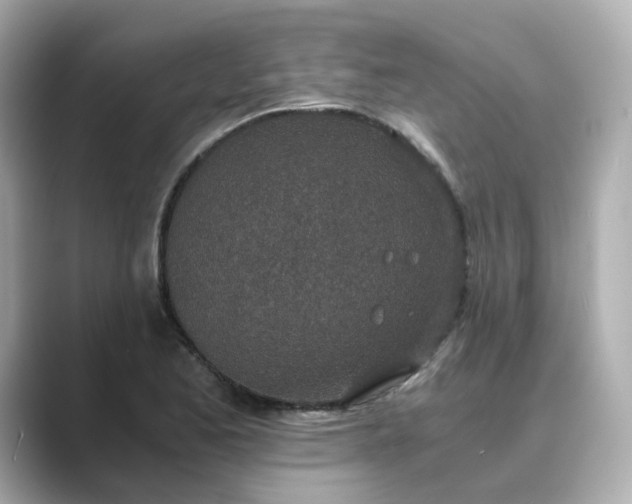 X0000088841173200706211828