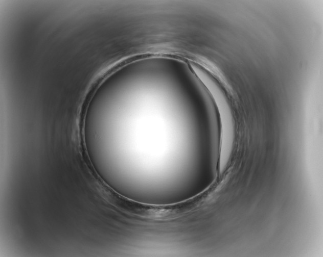 X0000088841176200706211828