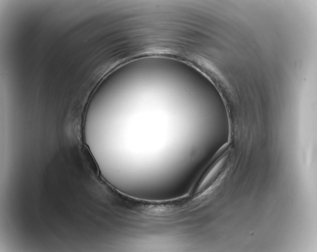 X0000088841177200706211828