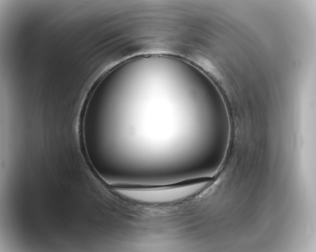 X0000088841181200706211827