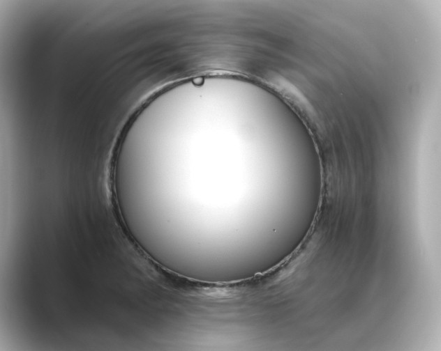 X0000088841182200706211827