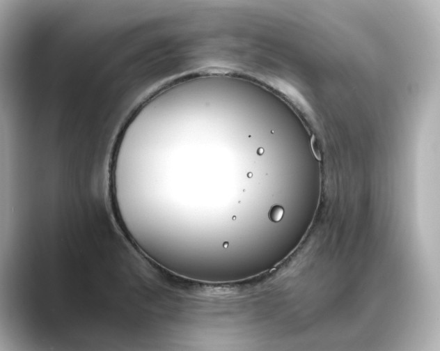 X0000088841183200706211827