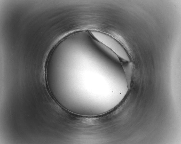 X0000088841184200706211827