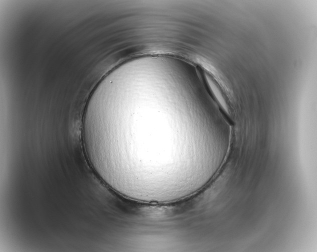 X0000088841185200706211827