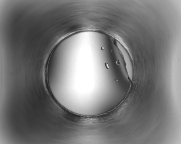 X0000088841187200706211827