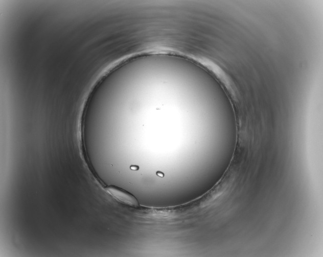 X0000088841191200706211827